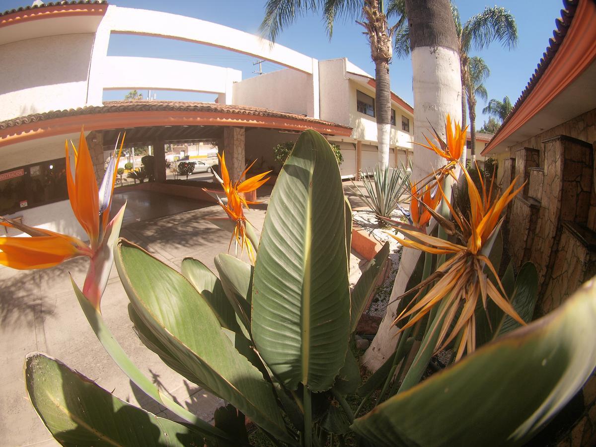 Auto Hotel Niza Tlaquepaque Exteriér fotografie